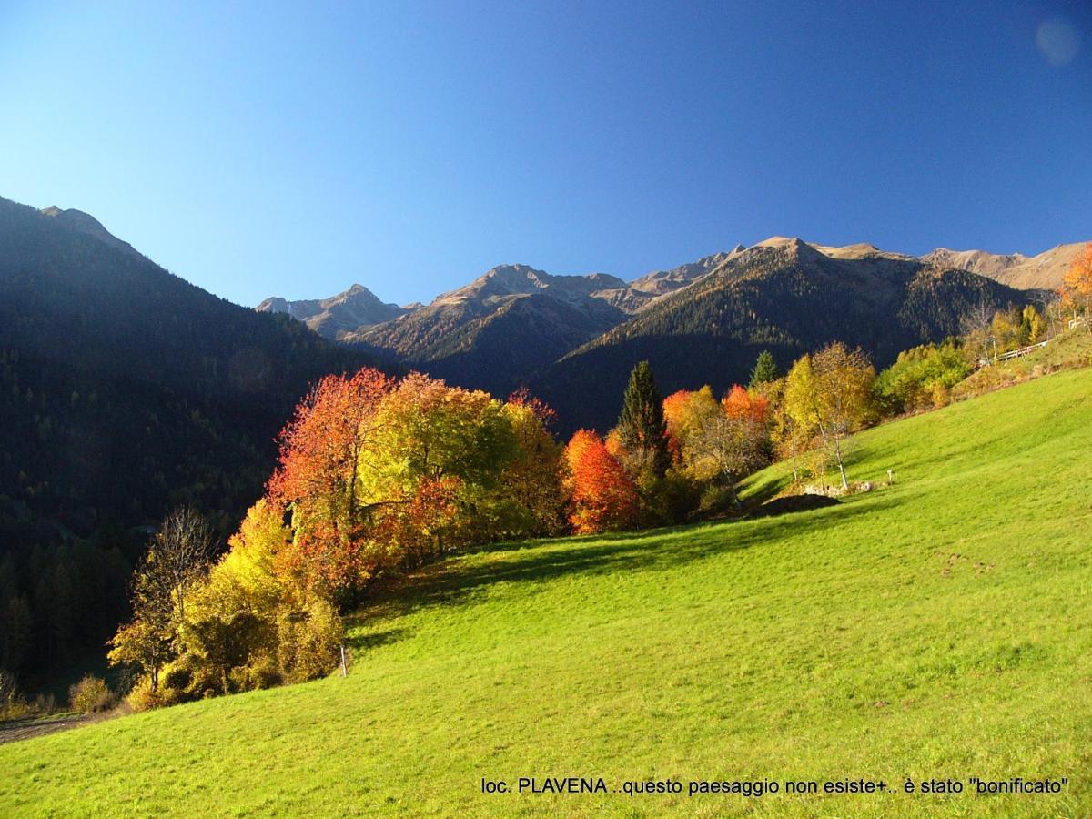 Alpen Garten Hotel Margherita Rumo Экстерьер фото